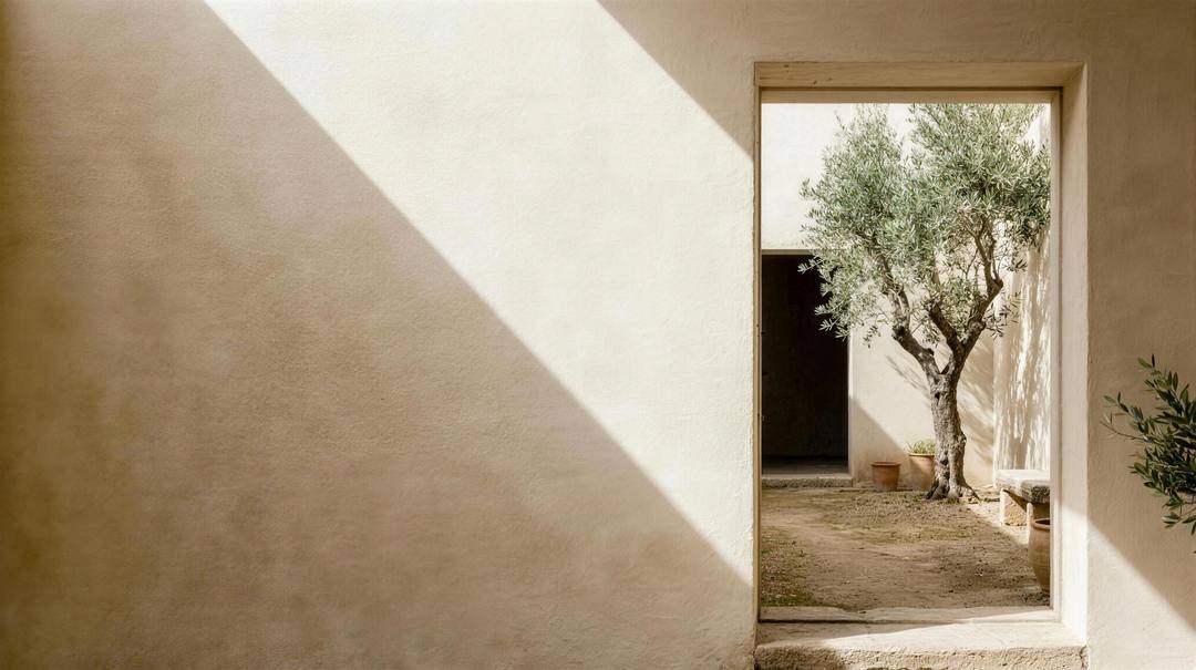 Sunlit doorway opening onto a courtyard with an olive tree