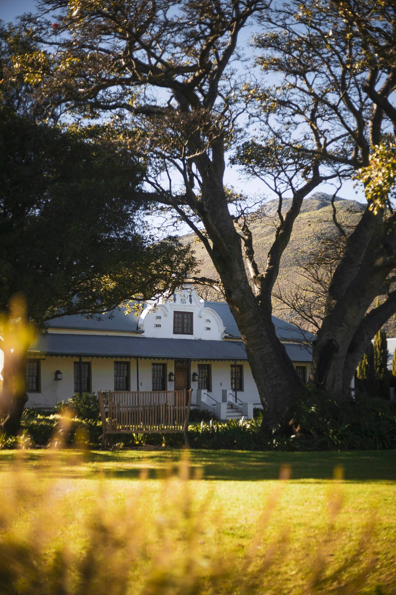 A whitewashed 1790 Cape Dutch manor house with a curved gable, framed by a broad old tree and mountain slopes in warm late-afternoon light